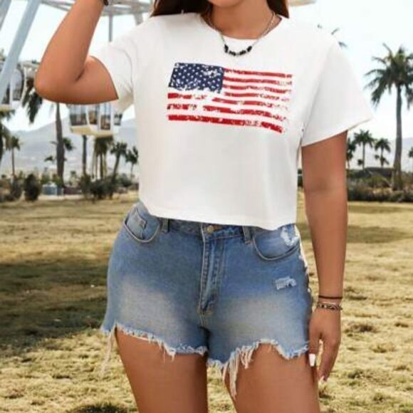 Plus size american flag crop tee sz 4X - Picture 1 of 2